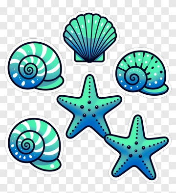 Seashells And Starfish Collection PNG
