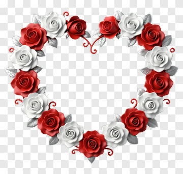 Heart Shape Made Of Red And White Roses PNG