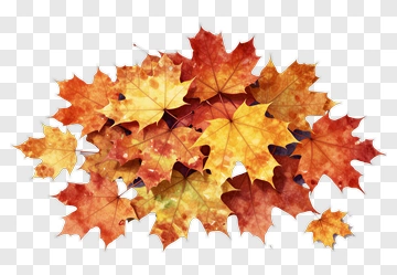 Watercolor Maple Leaves In Autumn PNG
