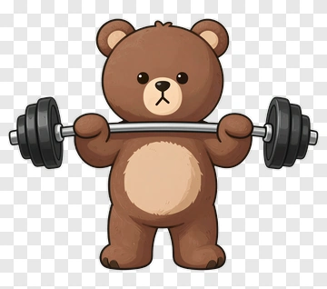 Bear Lifting Barbell PNG