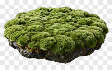 Floating Moss Covered Rock PNG