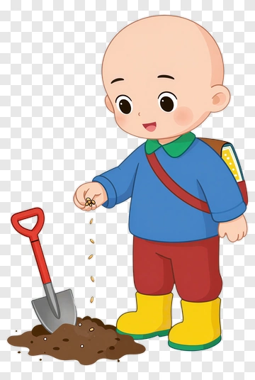 Boy Planting Seeds In Garden PNG