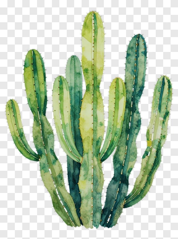 Watercolor Cactus PNG