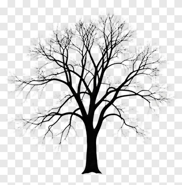 Black Tree Silhouette PNG