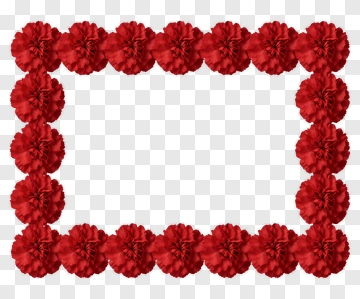 Red Carnations Frame PNG