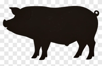 Pig Silhouette PNG