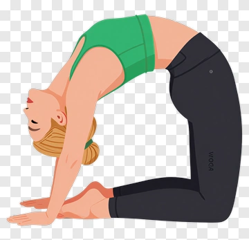 Woman Practicing Yoga Bridge Pose PNG