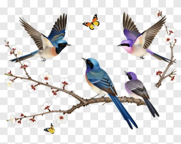 Four Birds And Butterflies Among Blossoms PNG