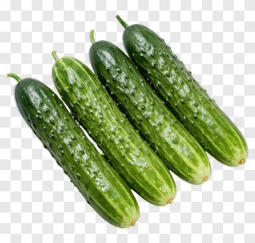 Fresh Cucumber PNG