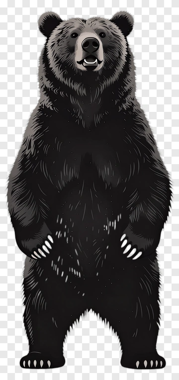 Standing Bear PNG