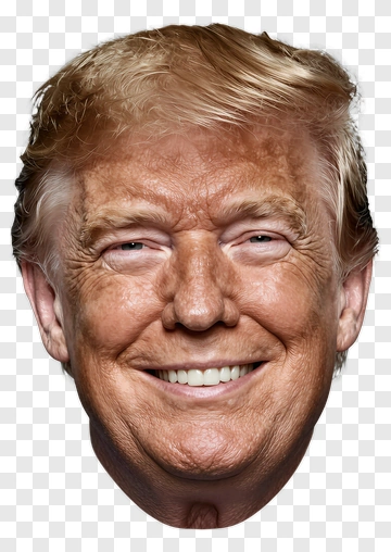Donald Trump Portrait PNG