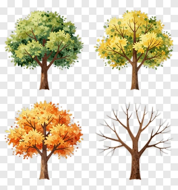 Four Types Of Trees In Watercolor Style PNG