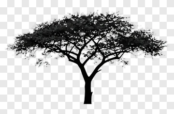 Black Tree Silhouette PNG