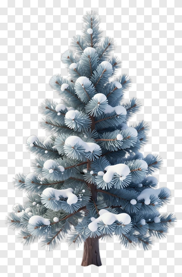 Snow Covered Pine Tree PNG