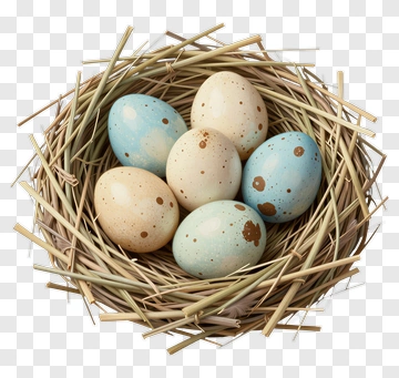 Eggs In A Nest PNG