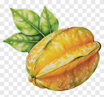 Hand-drawn Starfruit With Green Leaf PNG