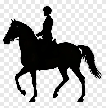 Silhouette Of Horse And Rider PNG