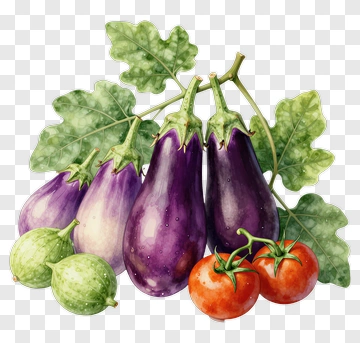 Fresh Eggplant Tomato And Cucumber PNG
