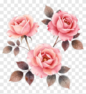 Three Pink Roses With Leaves PNG