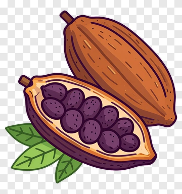 Cocoa Pod With Beans And Leaves PNG