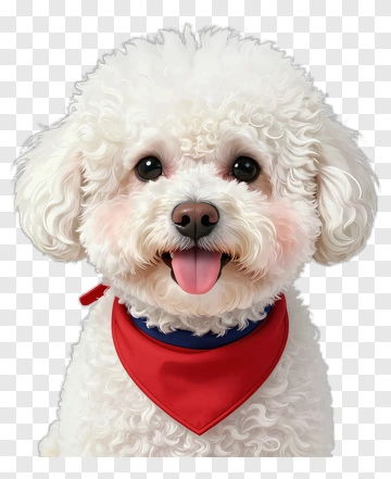 Cute White Poodle With Red Bandana PNG