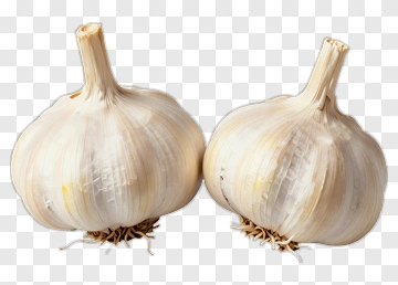 Two Garlic Bulbs PNG