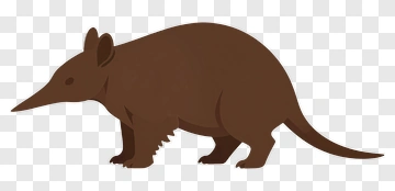 Brown Anteater PNG