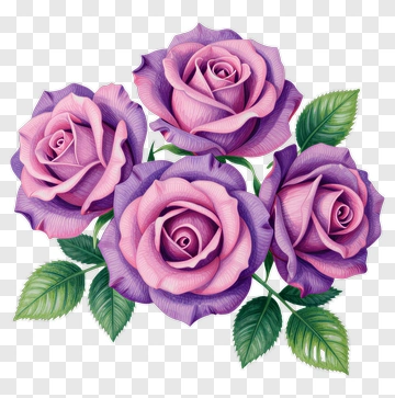 Purple And Pink Roses With Green Leaves PNG