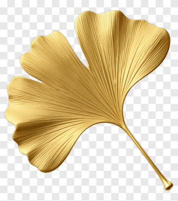 Gold Ginkgo Leaf Ornament PNG