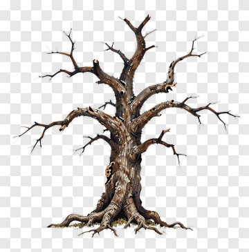 Bare Tree With Gnarled Branches PNG