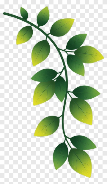 Green Leaf Branch PNG