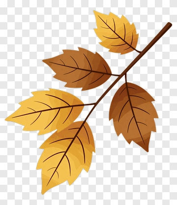 Autumn Leaf Branch PNG