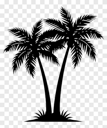Two Palm Trees Silhouette PNG