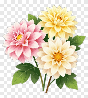 Pink Yellow And White Dahlia Bouquet PNG