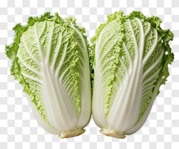 Fresh Cabbage PNG