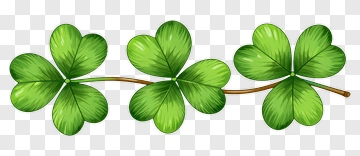 Clover PNG