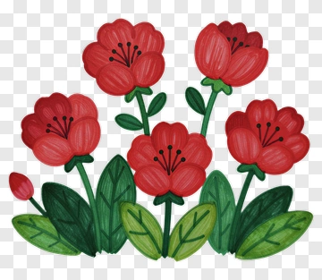 Hand-drawn Red Flower Bouquet PNG