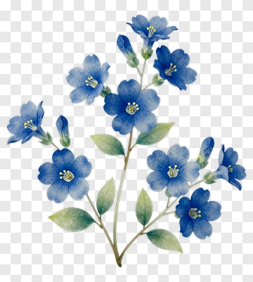 Blue Blossom Branch With Green Leaves PNG