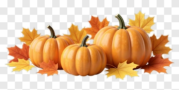 Orange Pumpkins With Autumn Leaves PNG