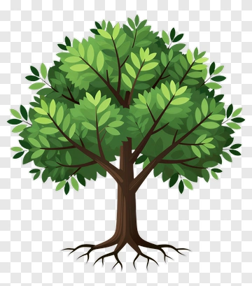 Tree PNG
