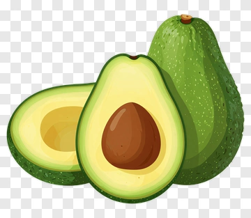 Fresh Avocado Fruit PNG