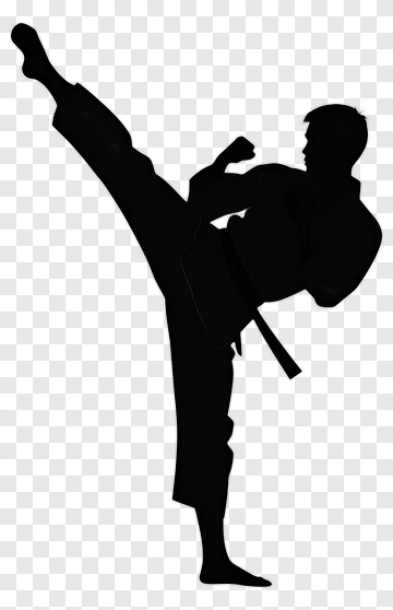 Karate Fighter In Action PNG