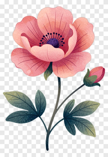 Pink Flower With Bud And Leaves PNG
