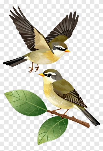 Two Birds In Flight And Perched PNG