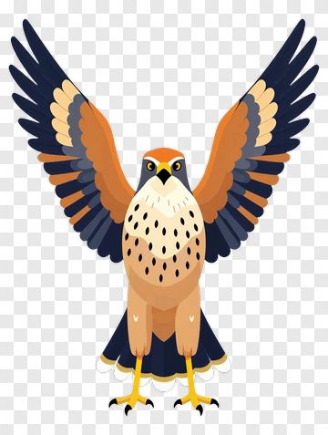 Hawk PNG