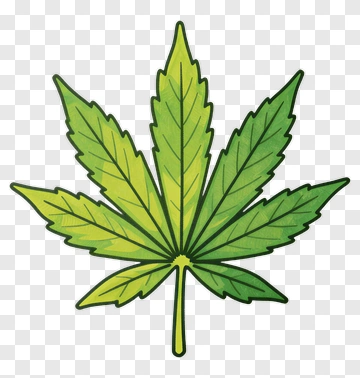 Cannabis Leaf PNG