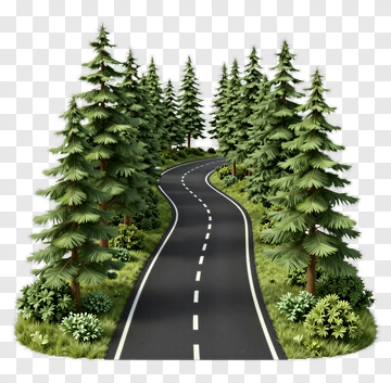 Curved Road Through Pine Forest PNG