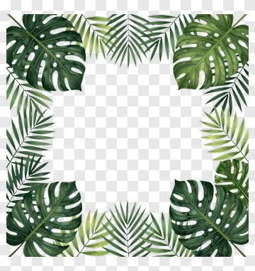 Tropical Palm Leaf Frame PNG