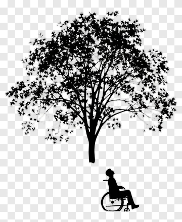 Person In Wheelchair Under Tree PNG