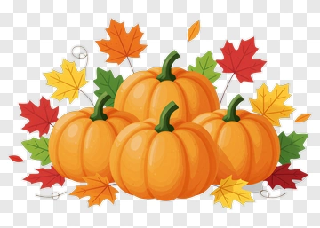 Pumpkins And Autumn Leaves PNG